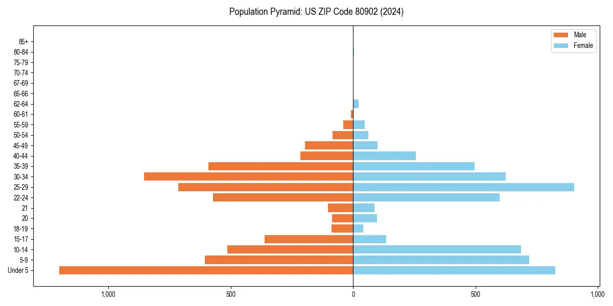 Population pyramid for 
