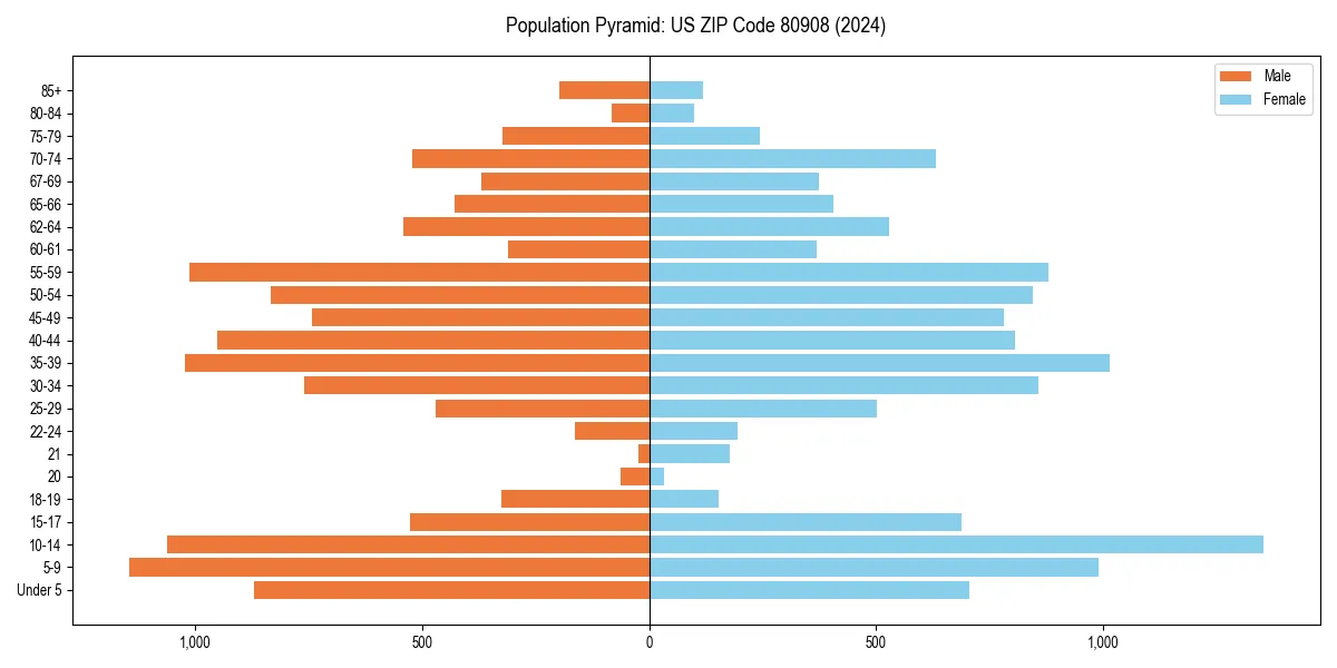 Population pyramid for 