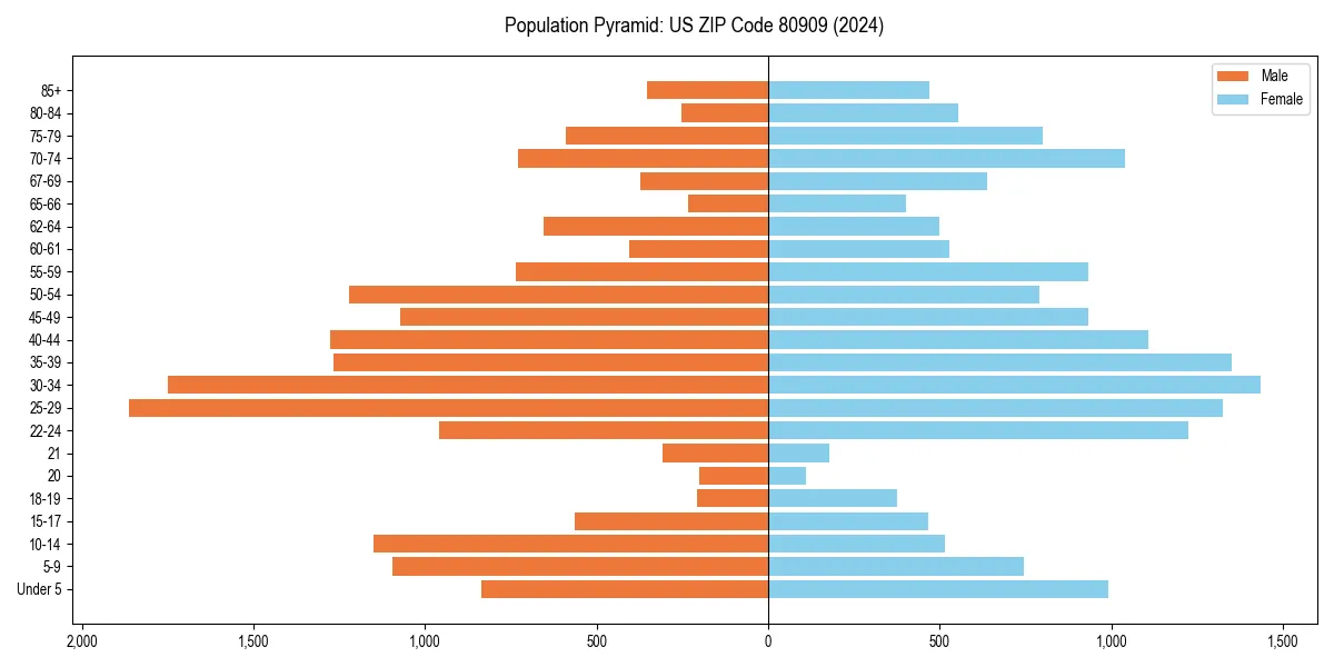 Population pyramid for 