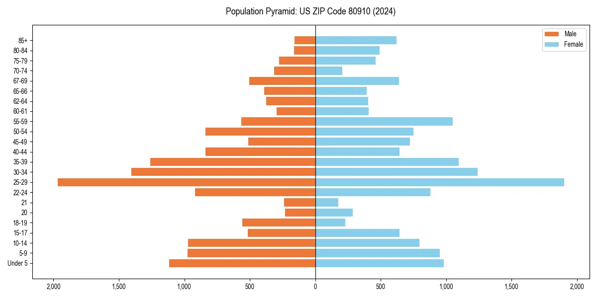 Population pyramid for 