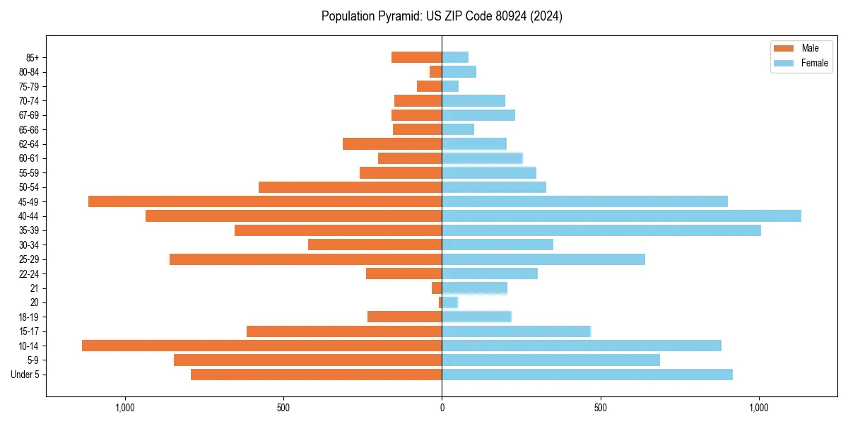 Population pyramid for