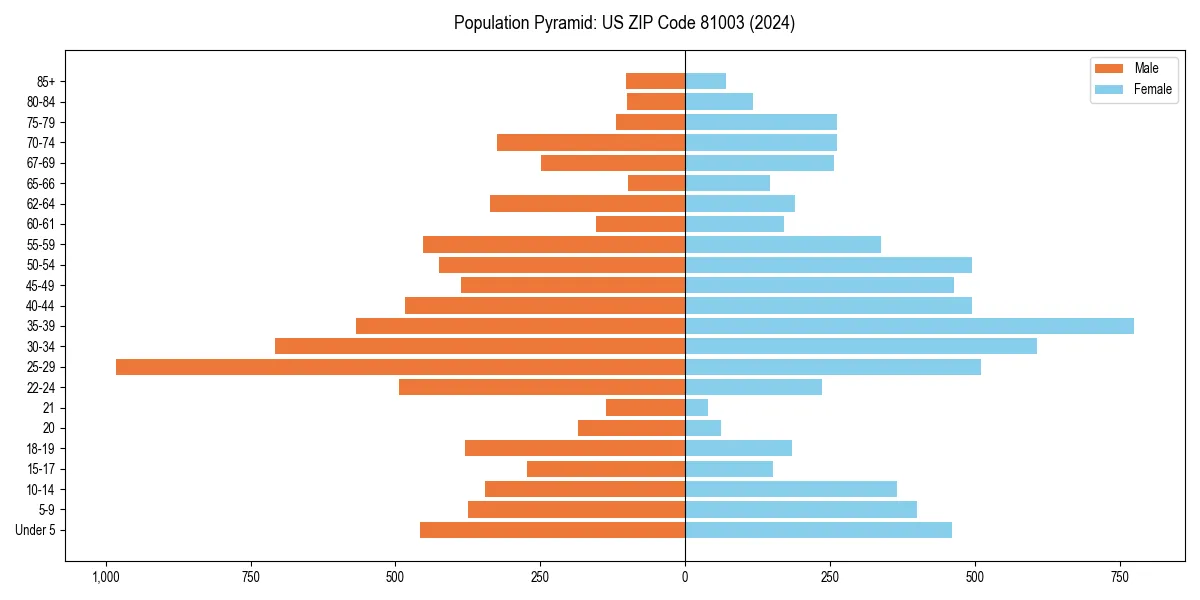 Population pyramid for 