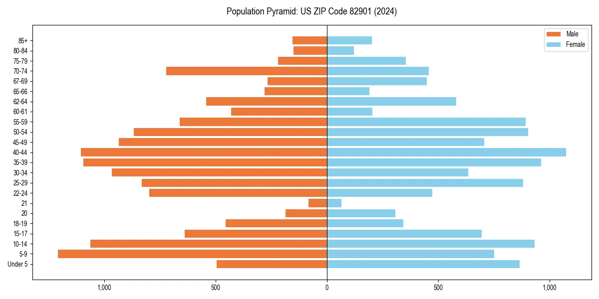 Population pyramid for 
