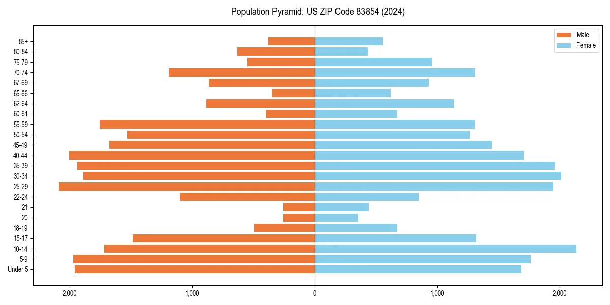 Population pyramid for 