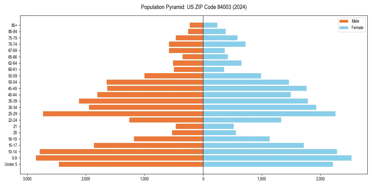 Population pyramid for 