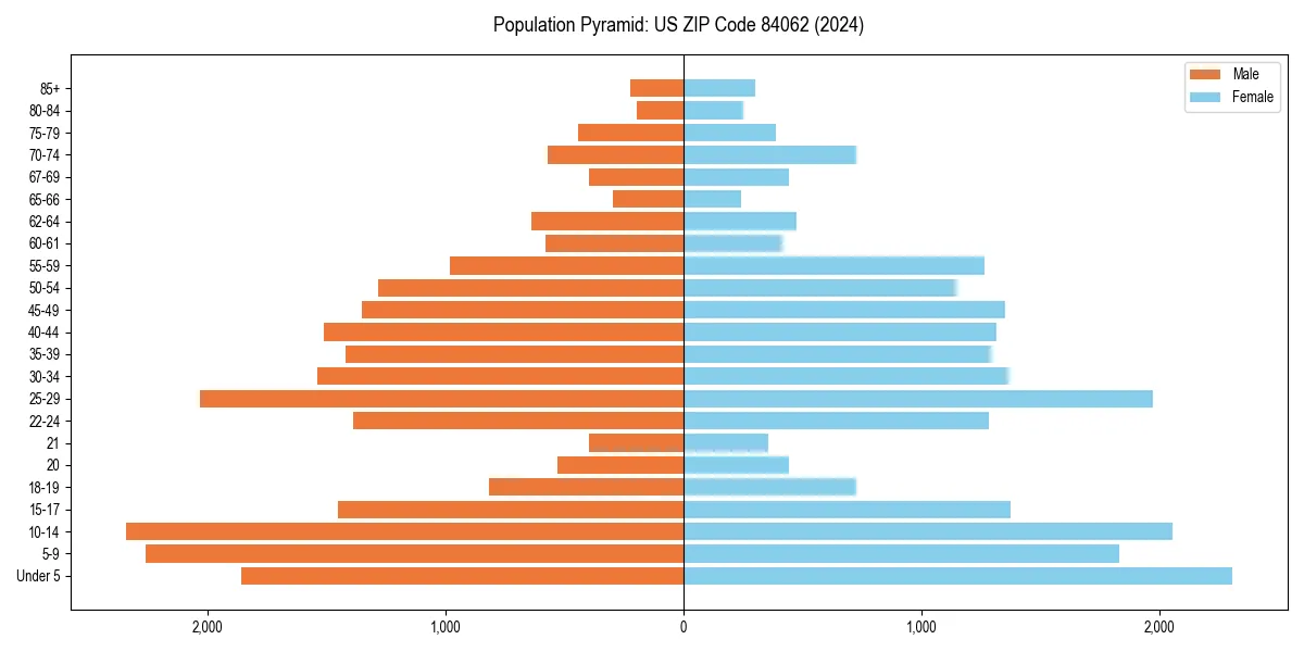 Population pyramid for 
