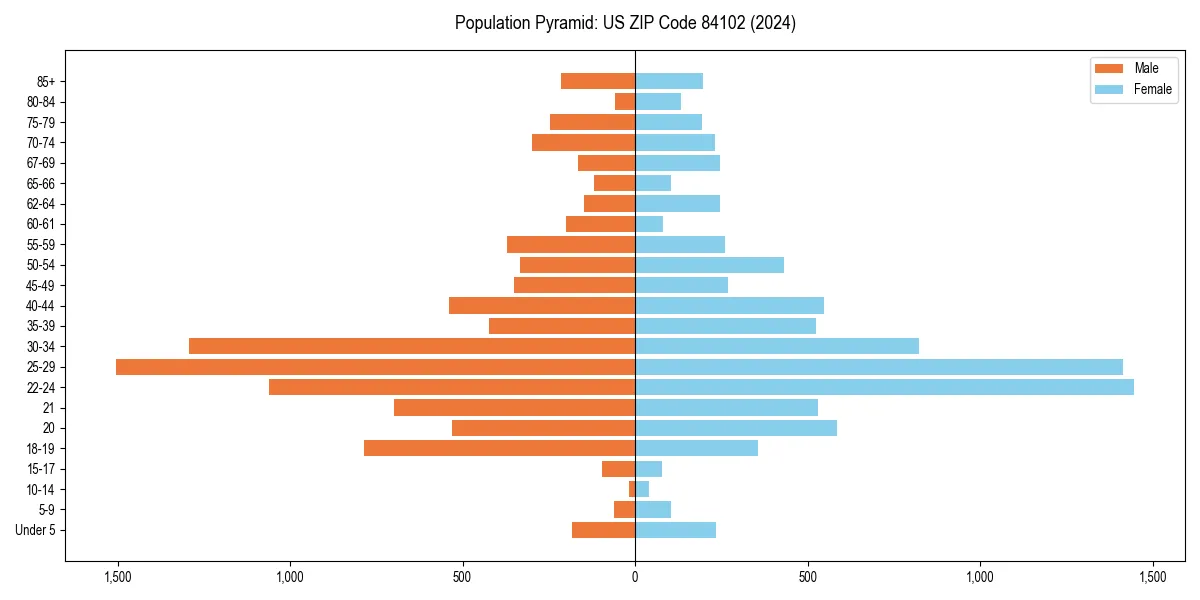 Population pyramid for 