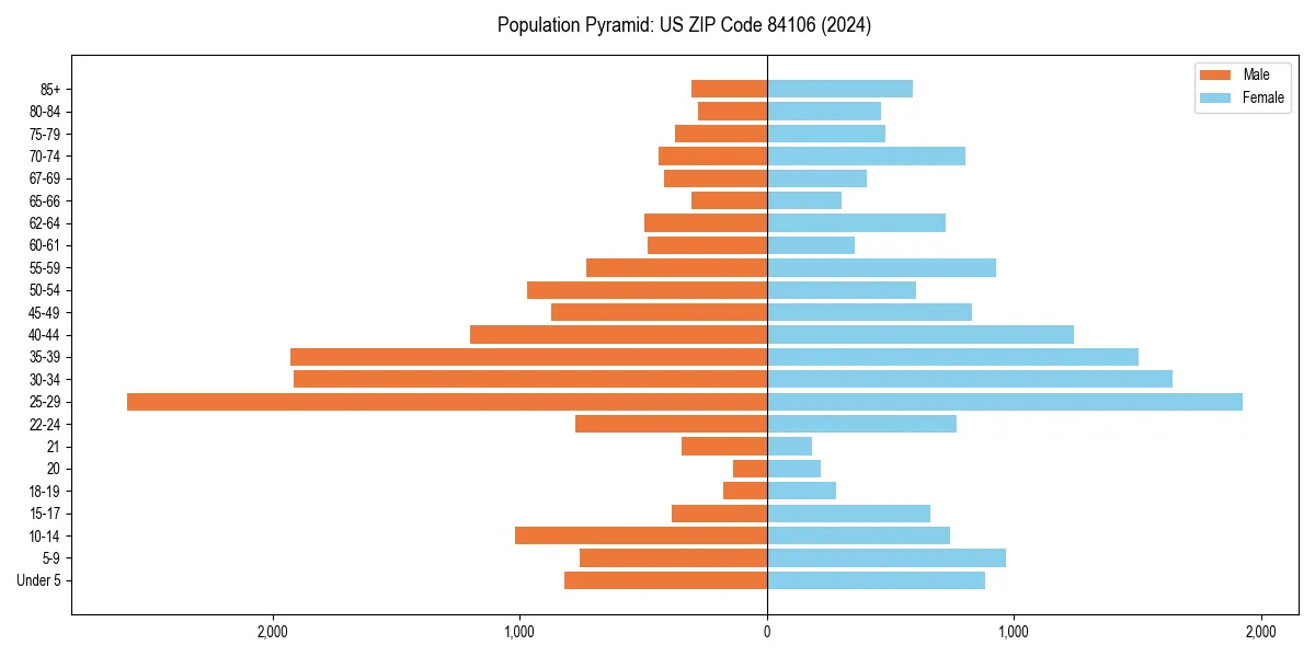 Population pyramid for 