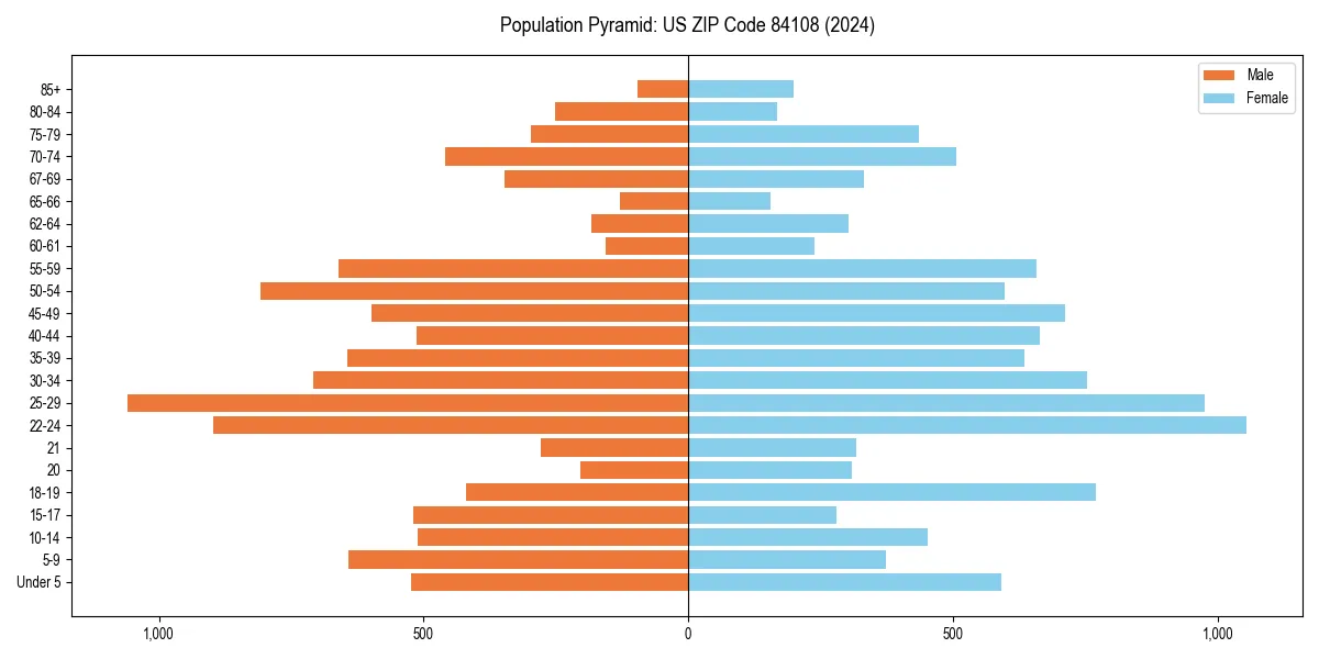 Population pyramid for 