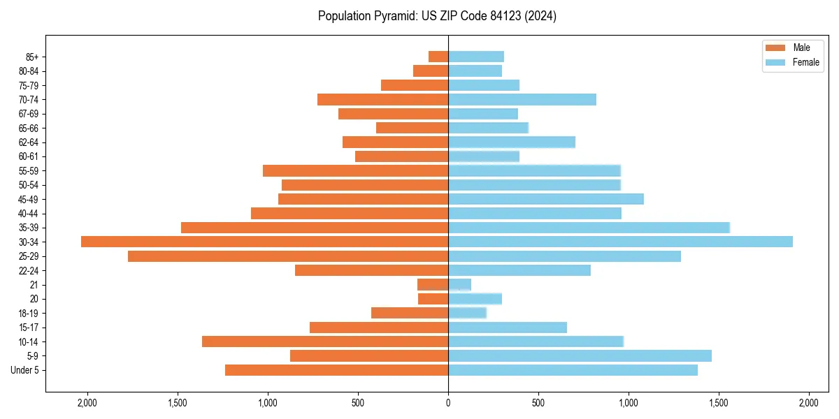Population pyramid for 