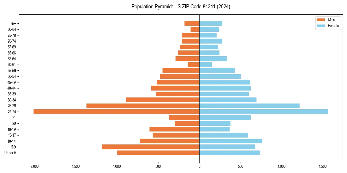 Population pyramid for 
