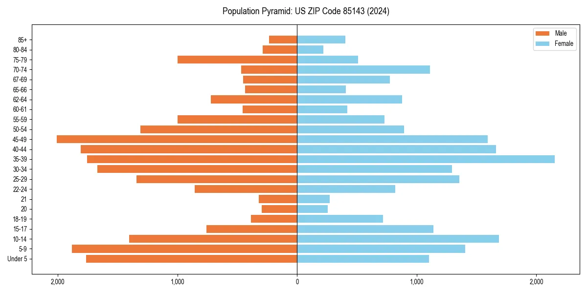 Population pyramid for 