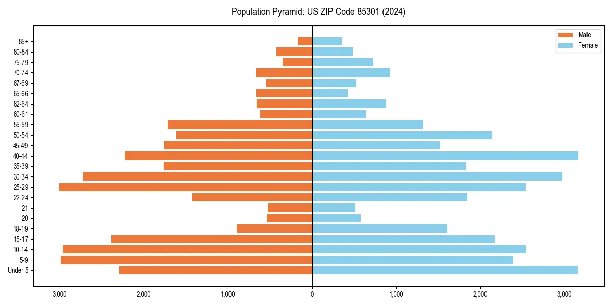 Population pyramid for 