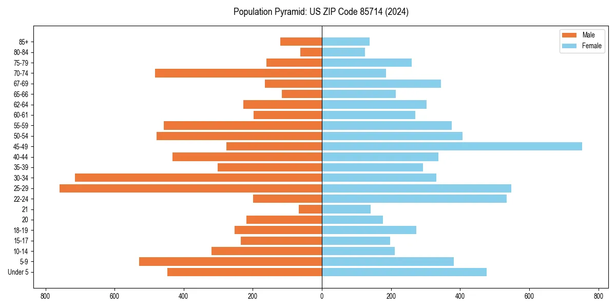 Population pyramid for 