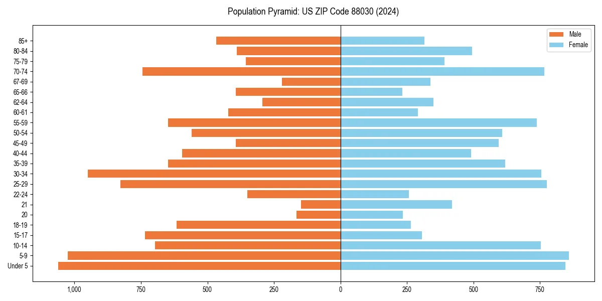 Population pyramid for