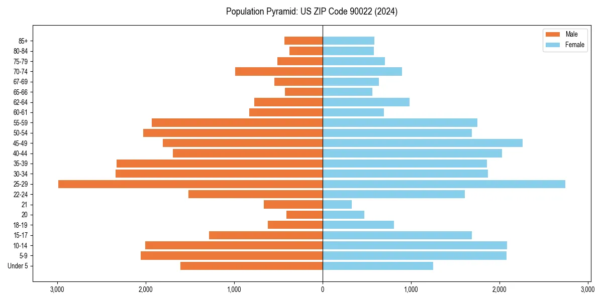 Population pyramid for 