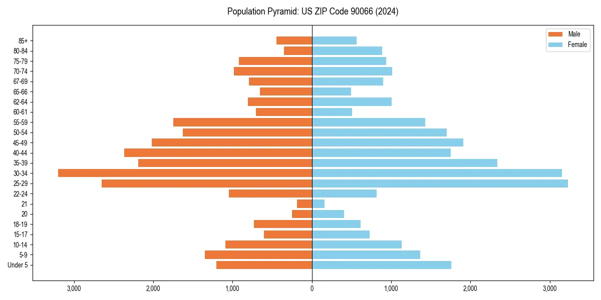 Population pyramid for 