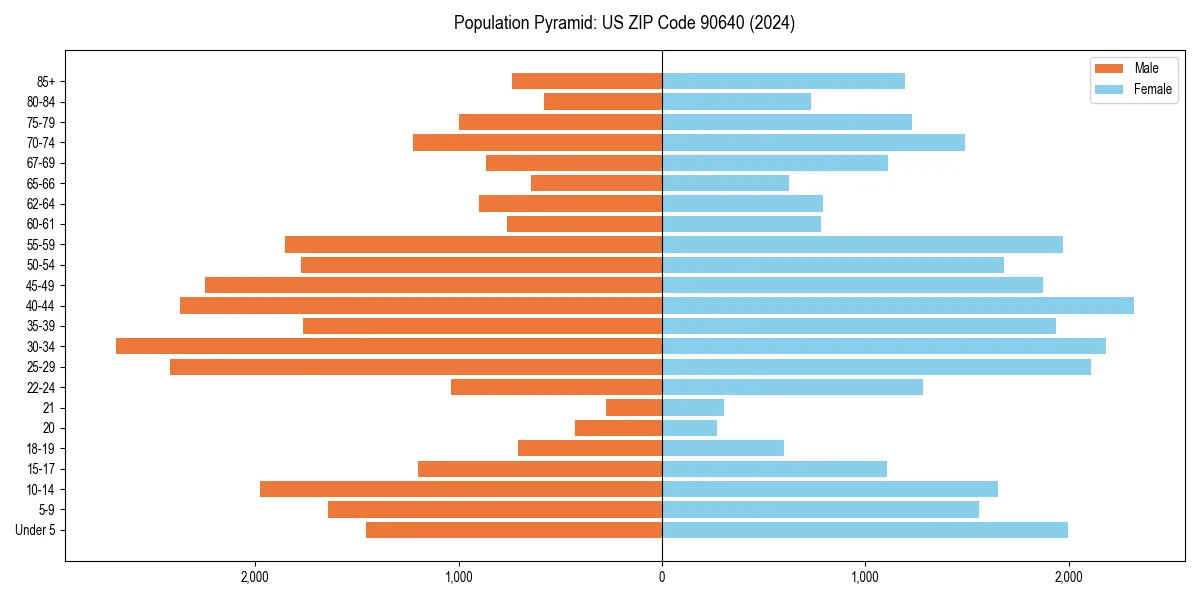Population pyramid for 
