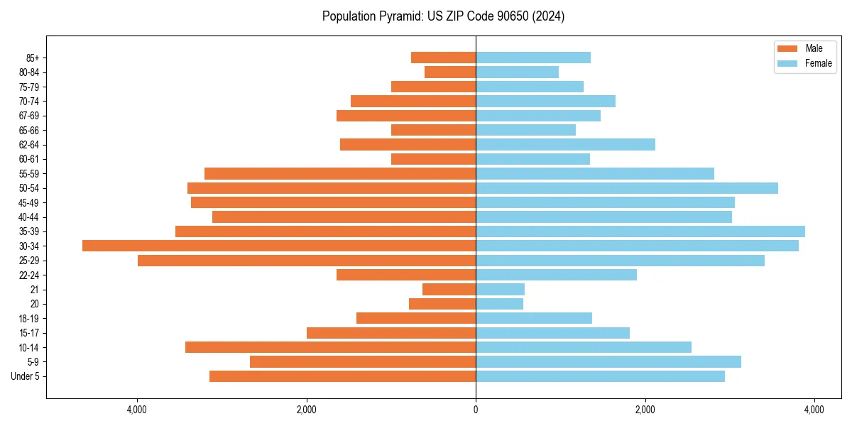 Population pyramid for 