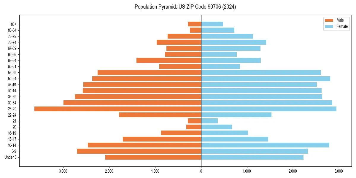 Population pyramid for 
