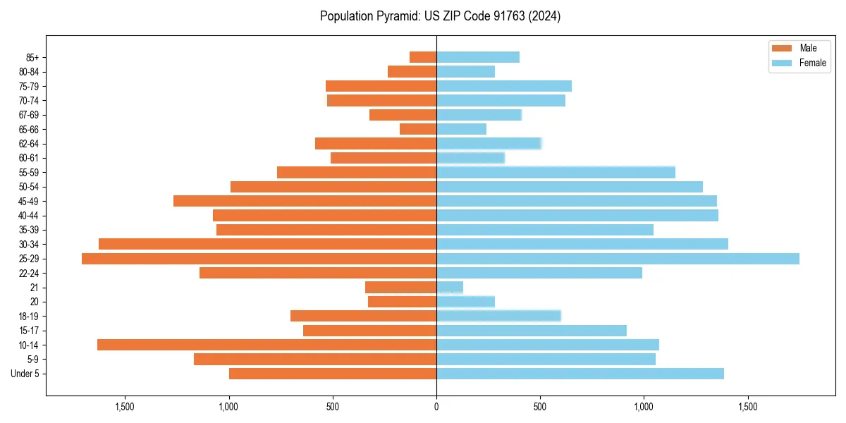 Population pyramid for 
