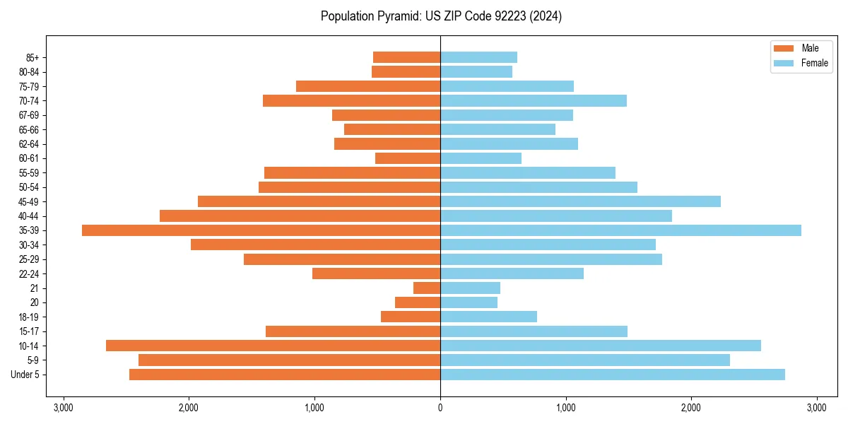 Population pyramid for 