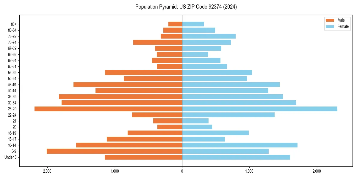 Population pyramid for 