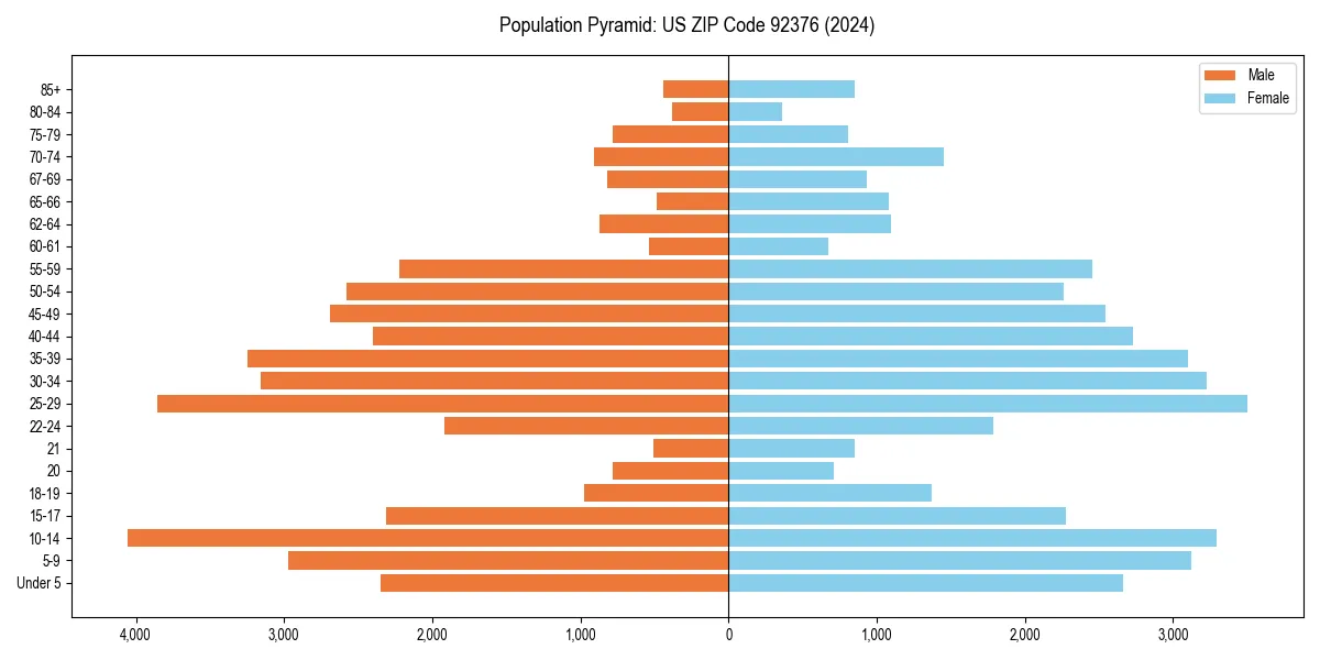 Population pyramid for 