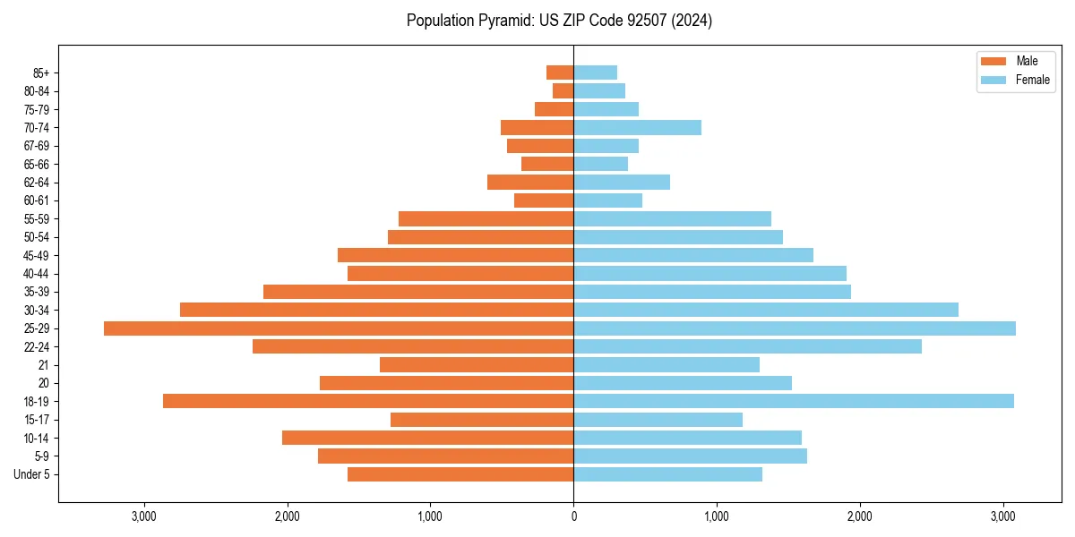 Population pyramid for 