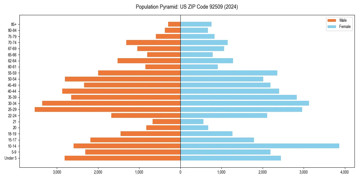 Population pyramid for 