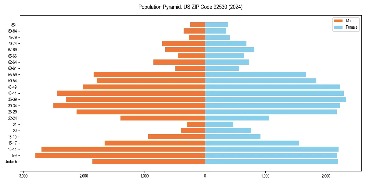 Population pyramid for 