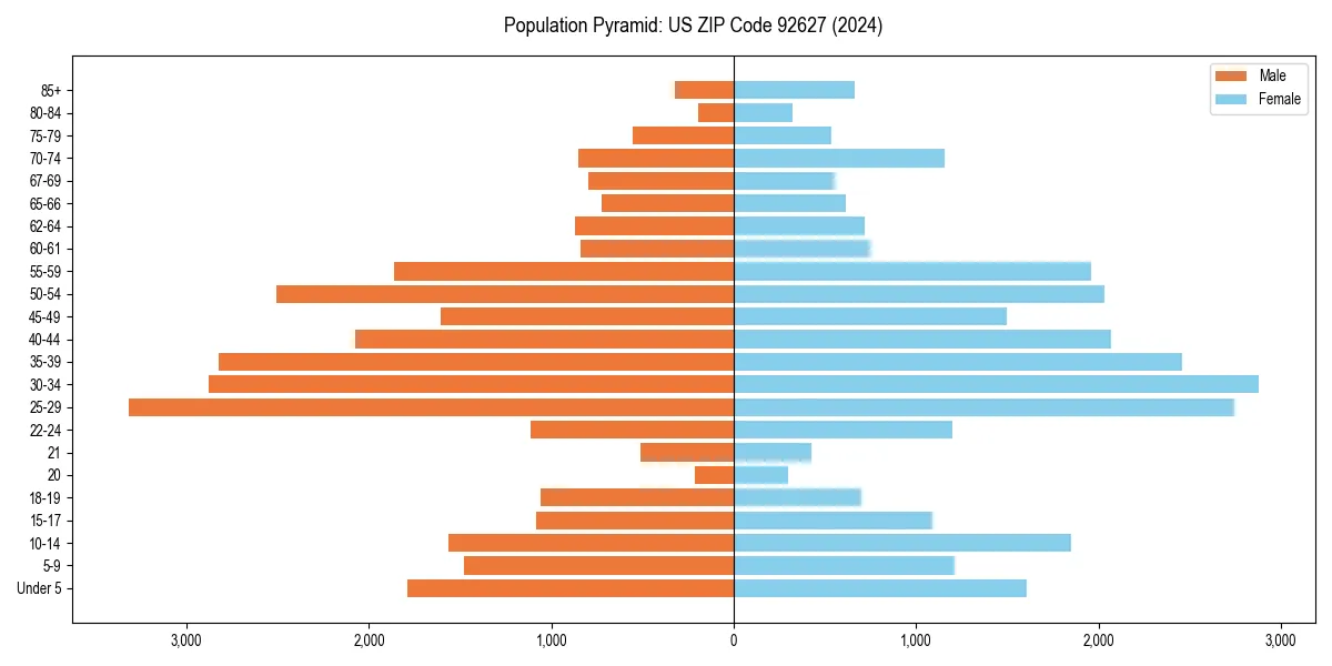 Population pyramid for 
