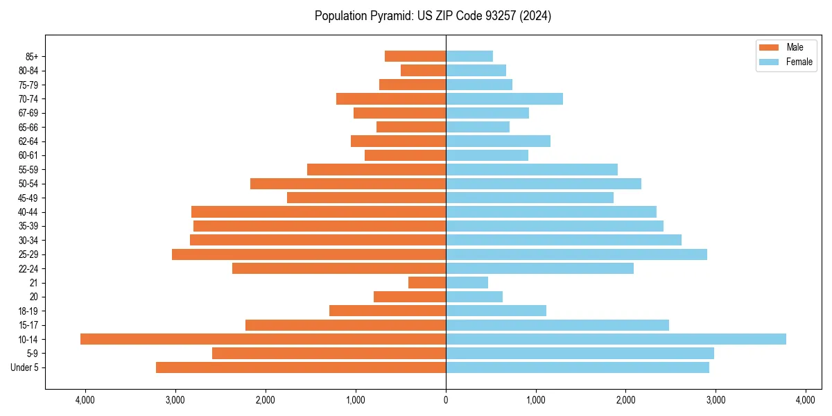 Population pyramid for 
