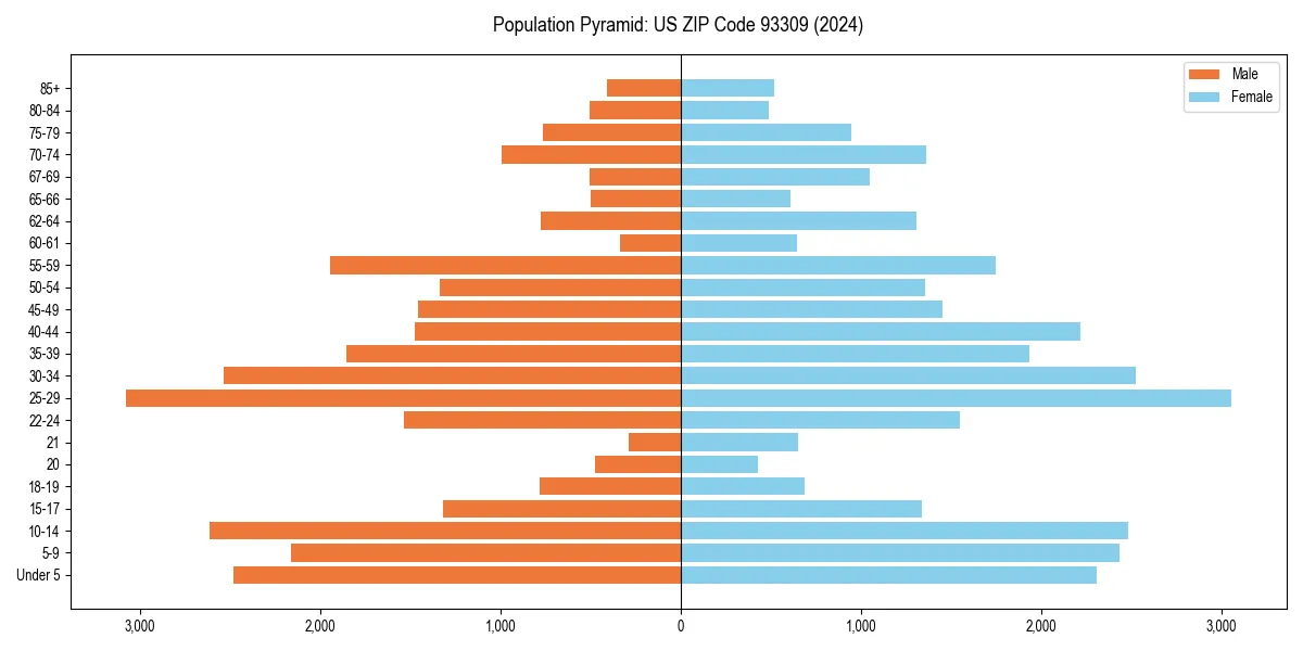 Population pyramid for 