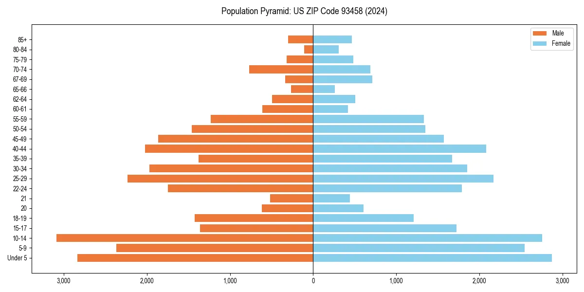 Population pyramid for 