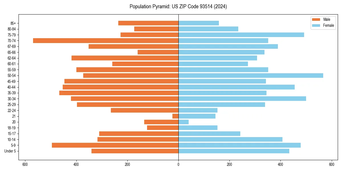 Population pyramid for 