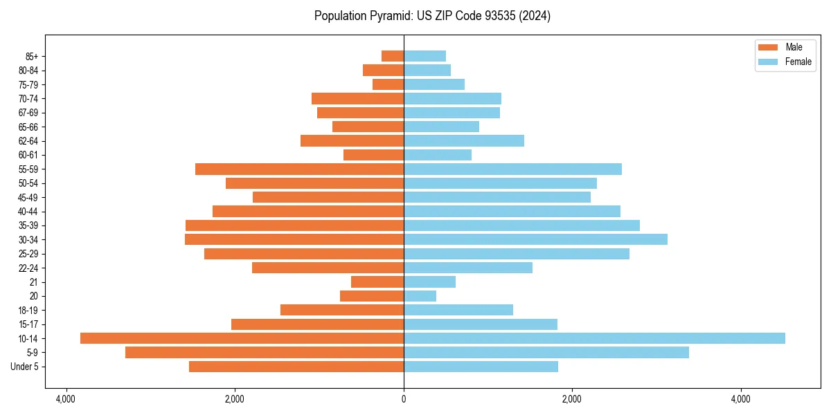 Population pyramid for 