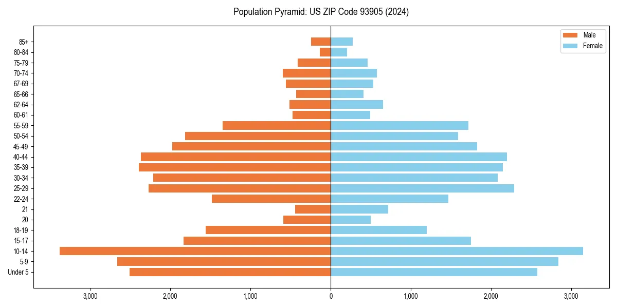 Population pyramid for 