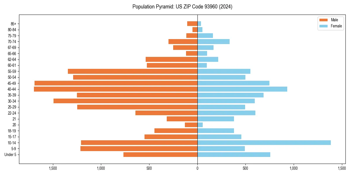 Population pyramid for 