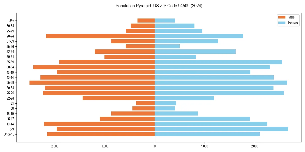 Population pyramid for 