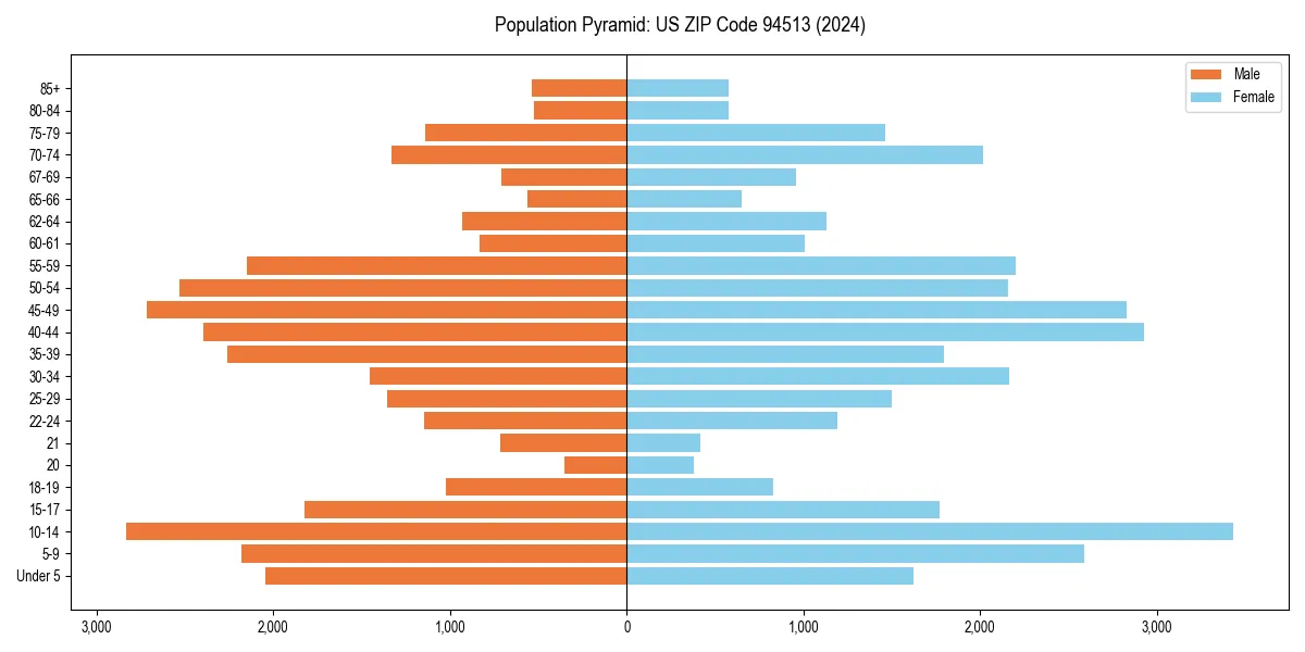 Population pyramid for 