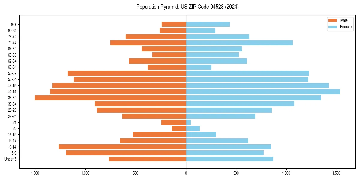 Population pyramid for 
