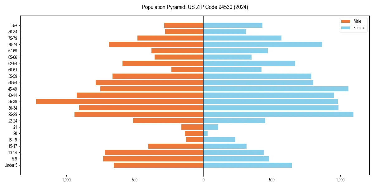 Population pyramid for 