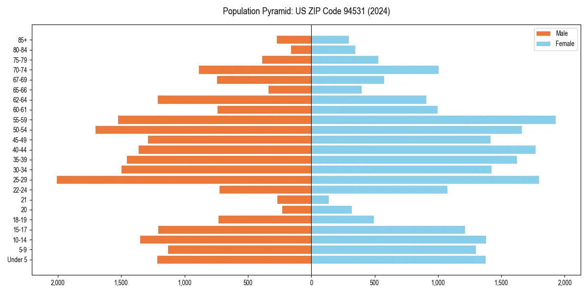 Population pyramid for 