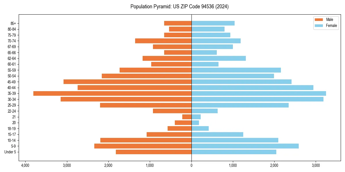Population pyramid for 