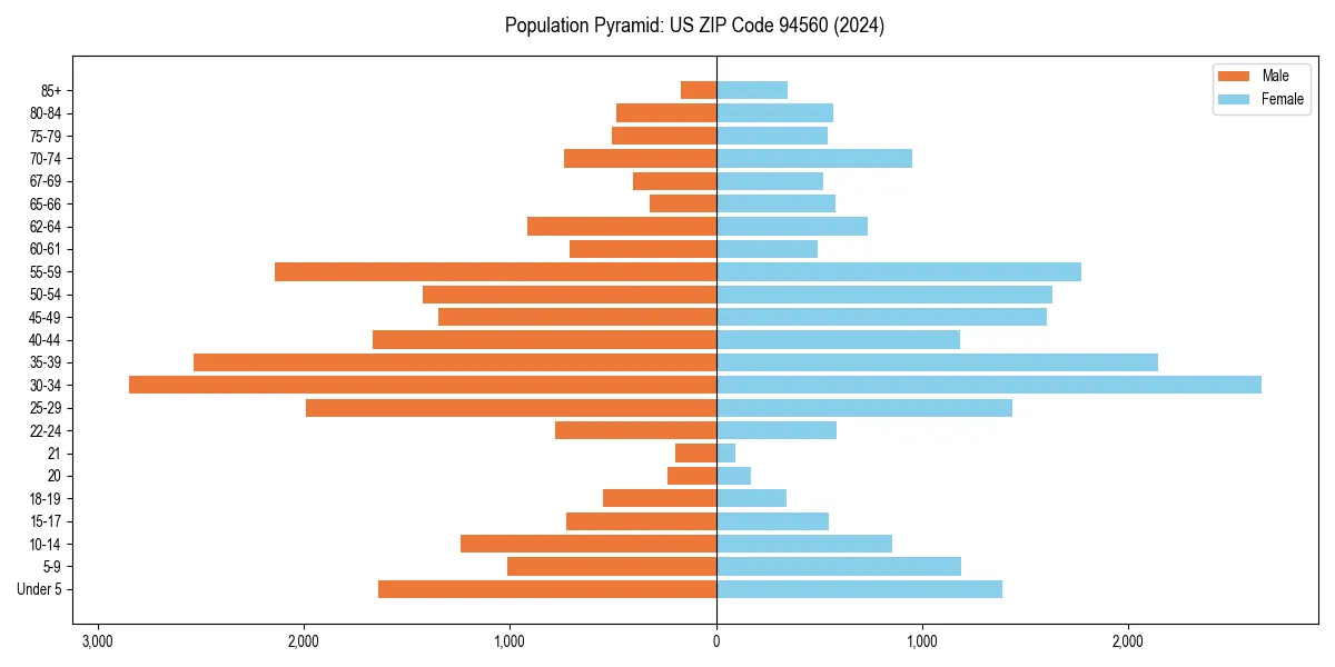 Population pyramid for 