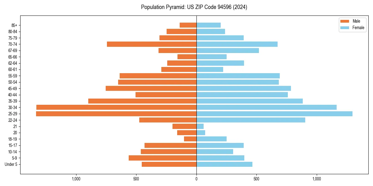 Population pyramid for 