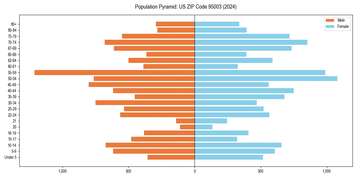 Population pyramid for 