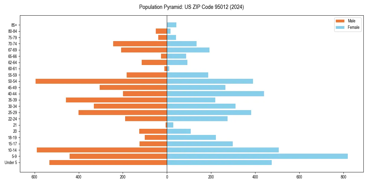 Population pyramid for 