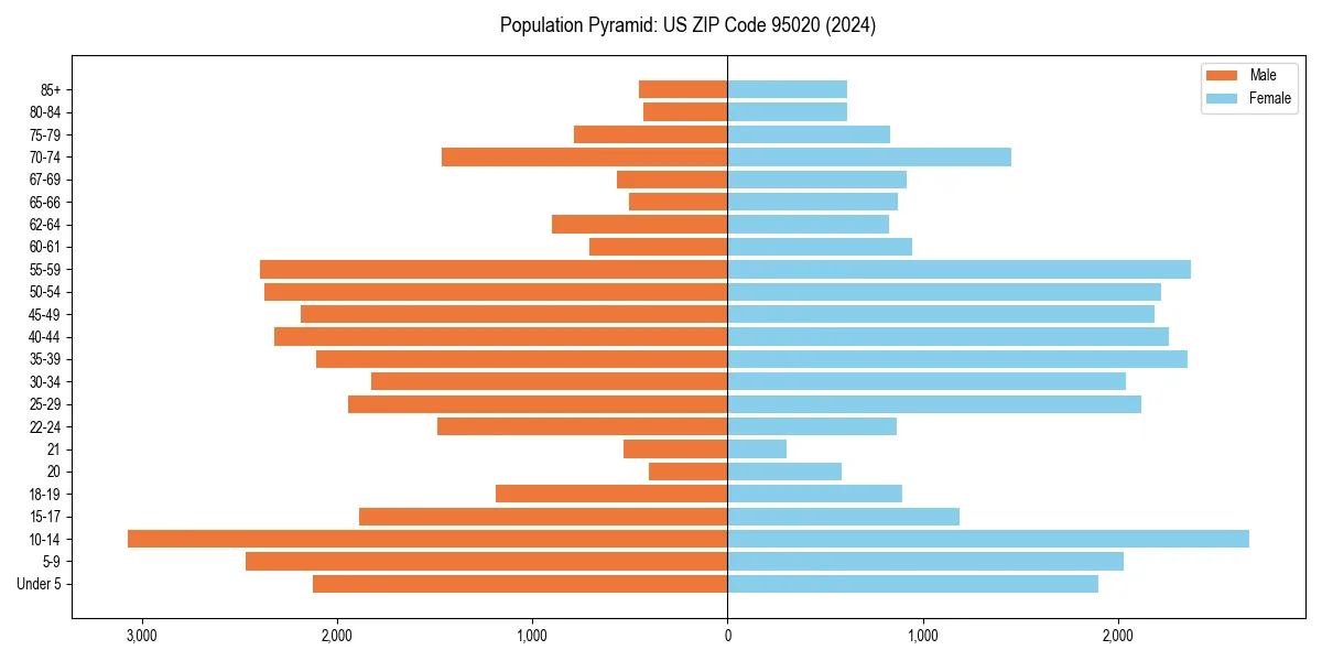 Population pyramid for 